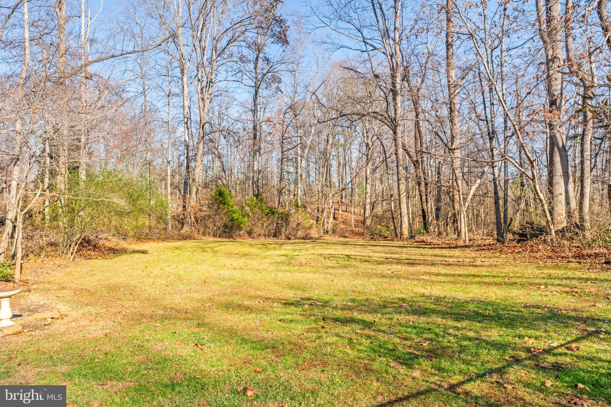 12376 Robin Road Culpeper, VA 22701 - Photo 69 of 70 a view of an ocean view