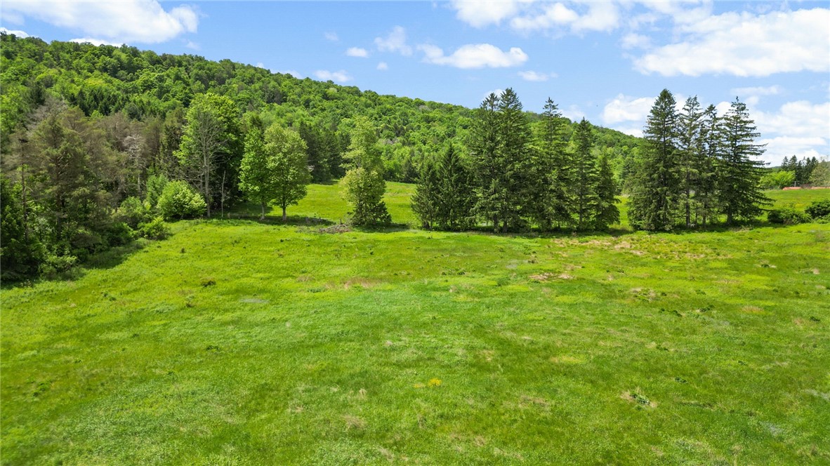 539 State Route Endicott, NY 13760 - Photo 32 of 38 BEAUTIFUL VIEWS!