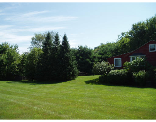 22 Warren Road Sudbury, MA 01776 - Photo 4 of 9 a view of a garden with potted plants and large trees