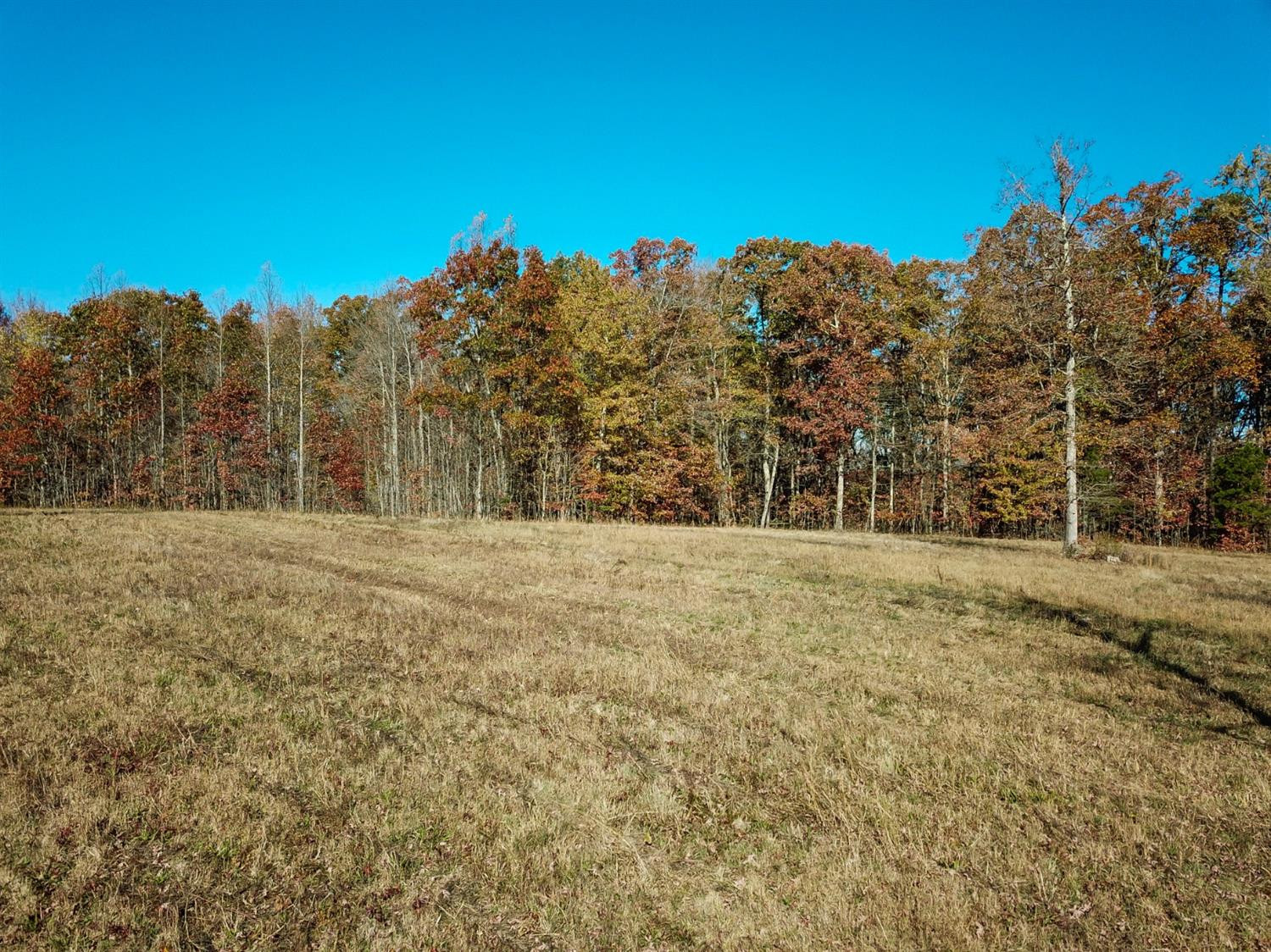 999 Red Davidson Road McKee, KY 40447 - Photo 17 of 45 Photo 17