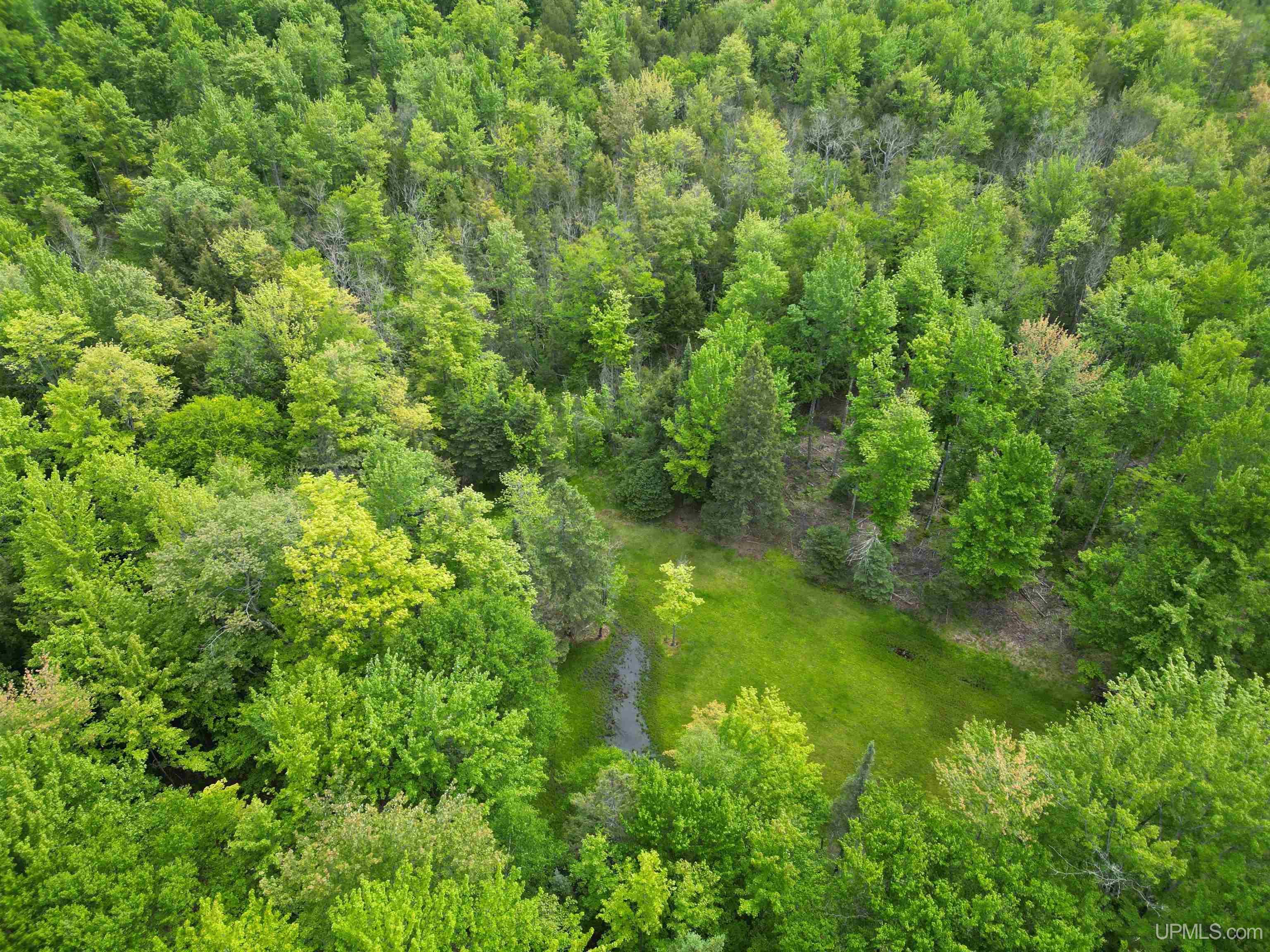 426 Rd Arnold Mi 49819 Road Felch, MI 49831 - Photo 31 of 45