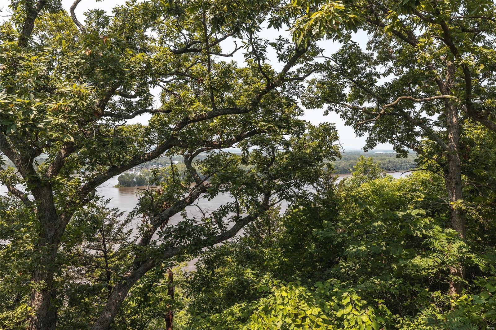 0 Hamburg-Michael Road Hamburg, IL 62045 - Photo 25 of 73