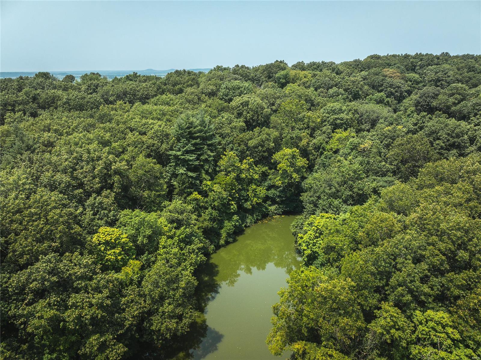 0 Hamburg-Michael Road Hamburg, IL 62045 - Photo 45 of 73