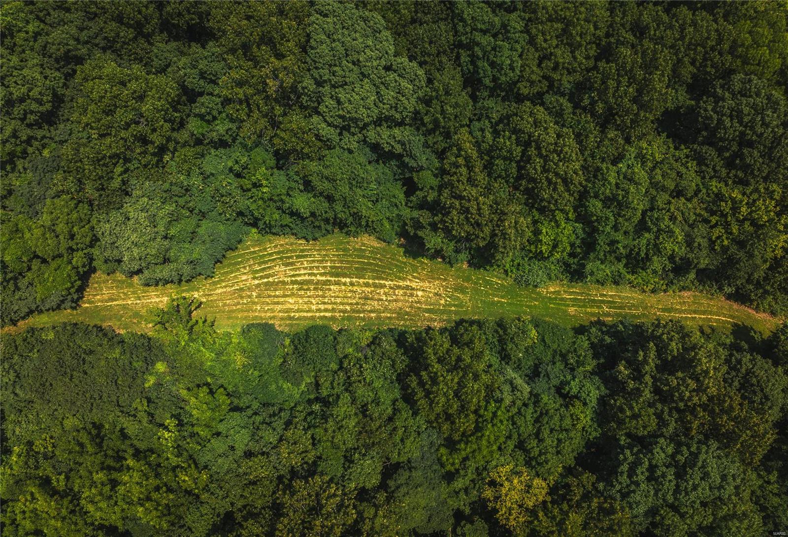 0 Hamburg-Michael Road Hamburg, IL 62045 - Photo 50 of 73