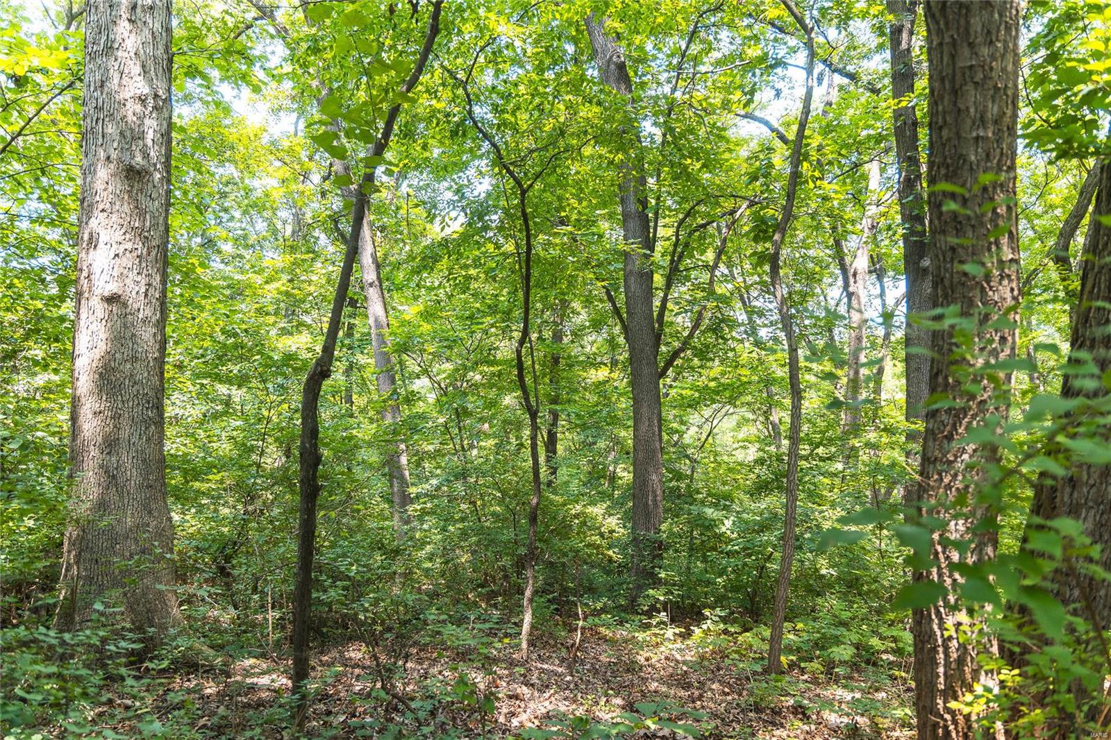 0 Hamburg-Michael Road Hamburg, IL 62045 - Photo 61 of 73