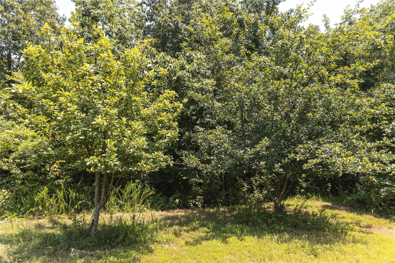 0 Hamburg-Michael Road Hamburg, IL 62045 - Photo 62 of 73