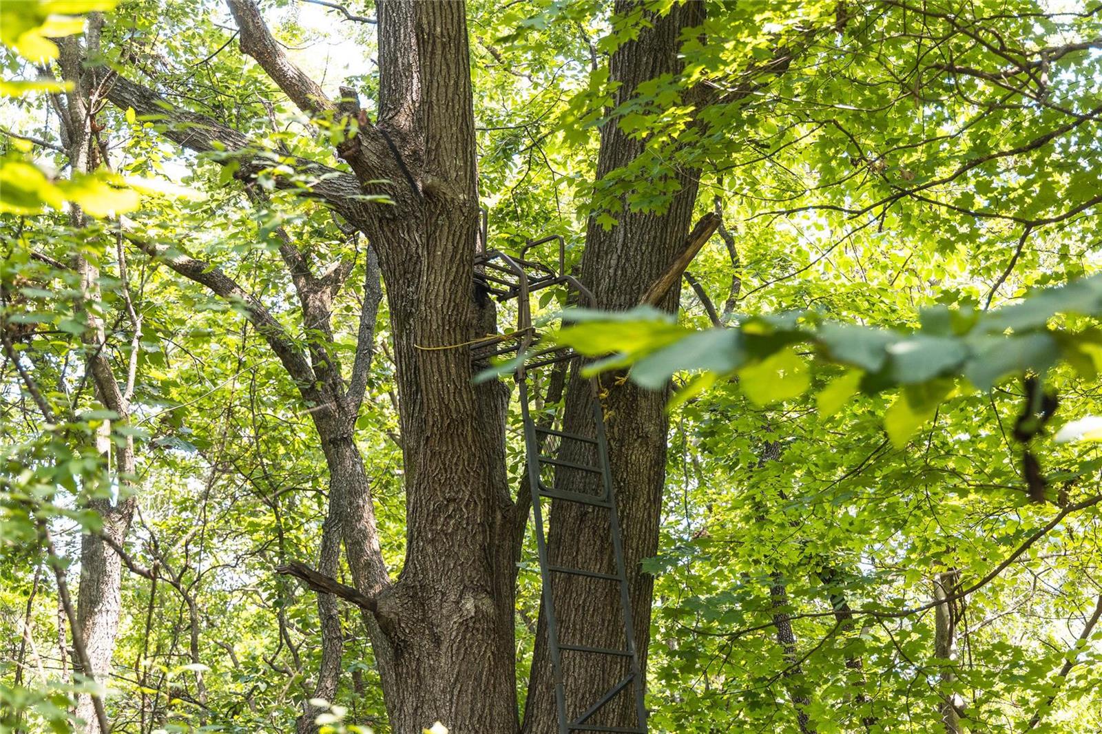 0 Hamburg-Michael Road Hamburg, IL 62045 - Photo 63 of 73