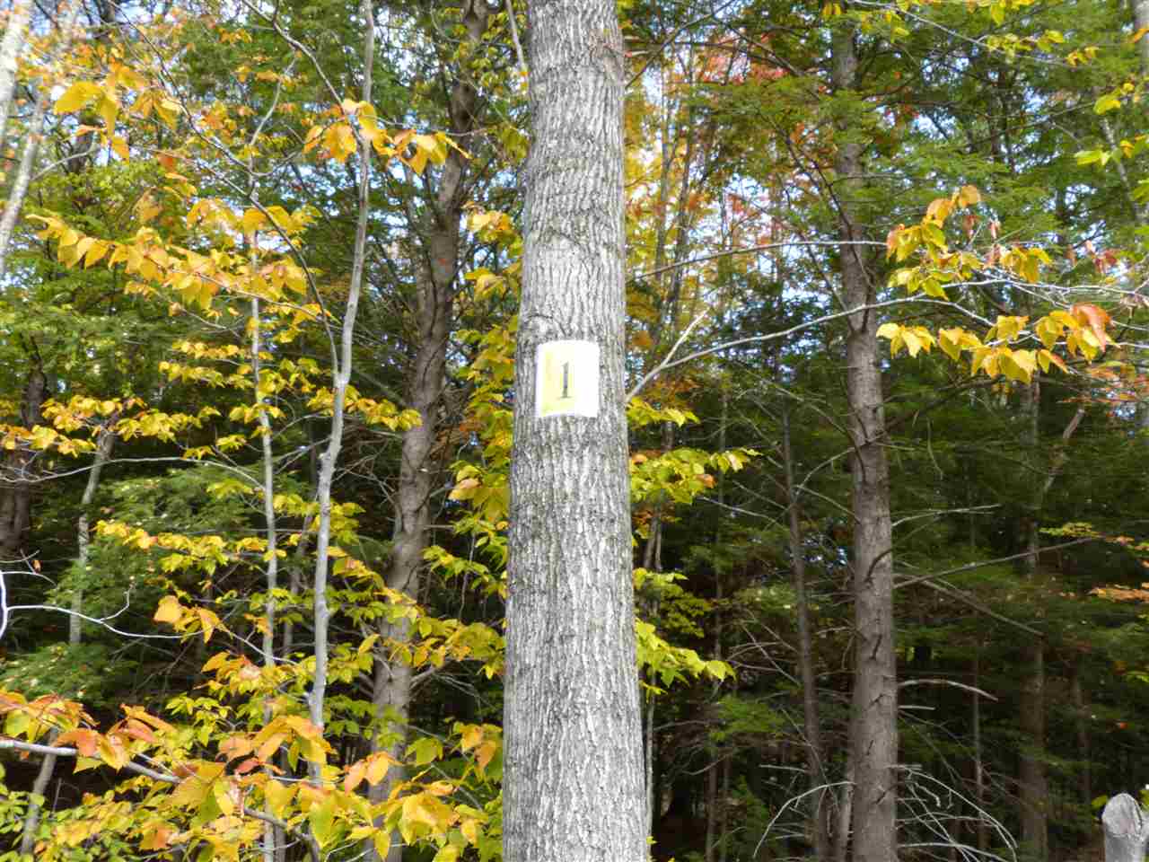 Lot 1 Buzzell Ridge Road, Unit R12 LOT 14 Sandwich, NH 03227 - Photo 3 of 40 Gallery Image 3