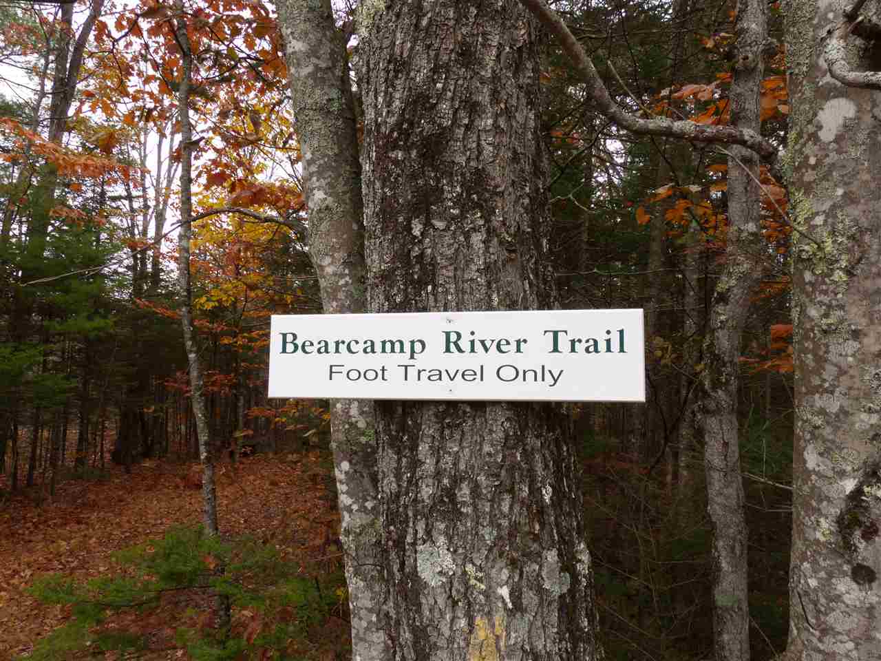 Lot 1 Buzzell Ridge Road, Unit R12 LOT 14 Sandwich, NH 03227 - Photo 25 of 40 Gallery Image 25