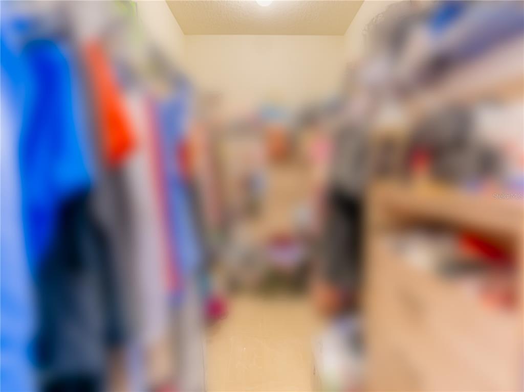 4504 Orchard Grove Road St. Cloud, FL 34772 - Photo 21 of 29 a view of a close up of a