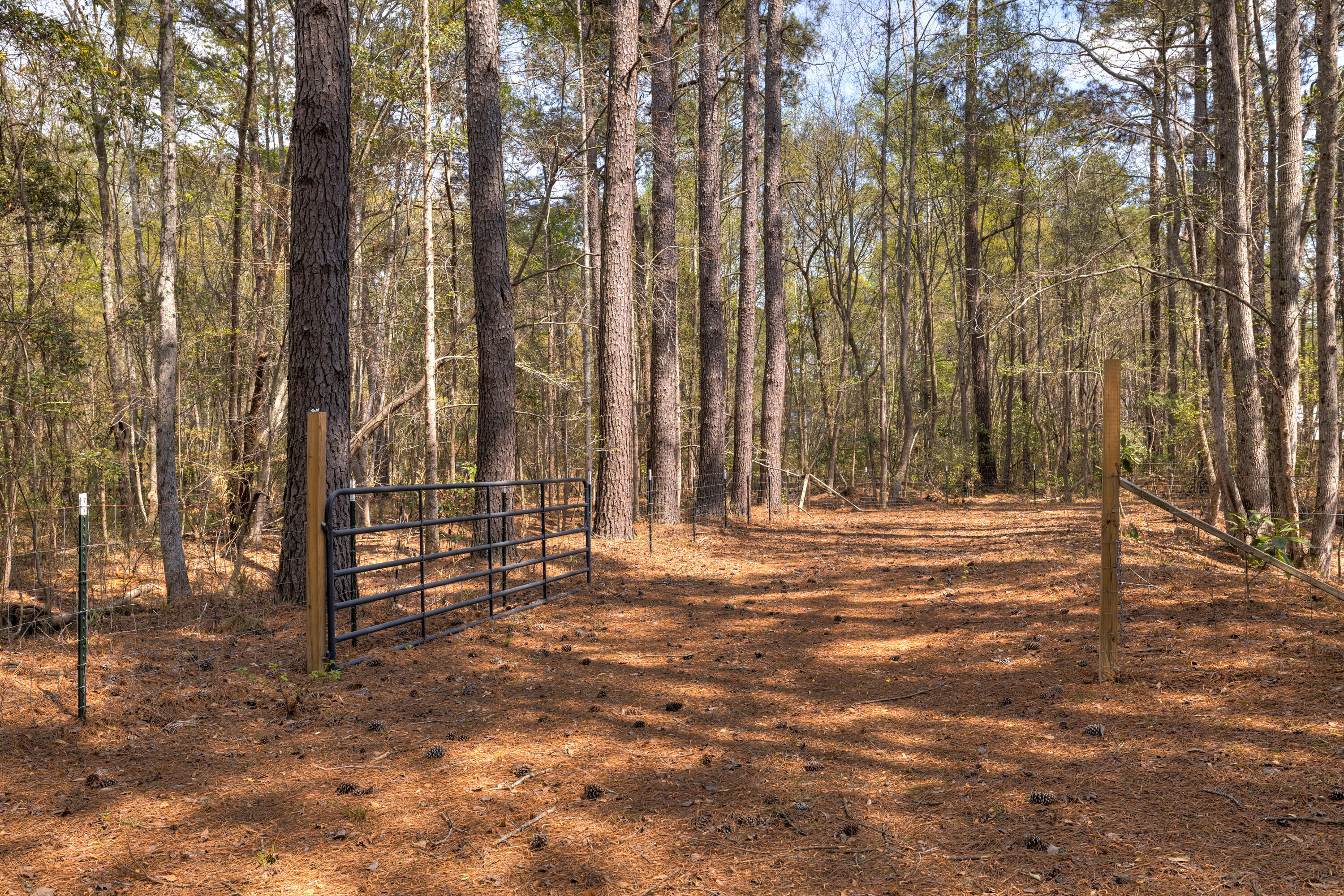 2341 Old Whites Mill Road Sumter, SC 29153 - Photo 61 of 81 21