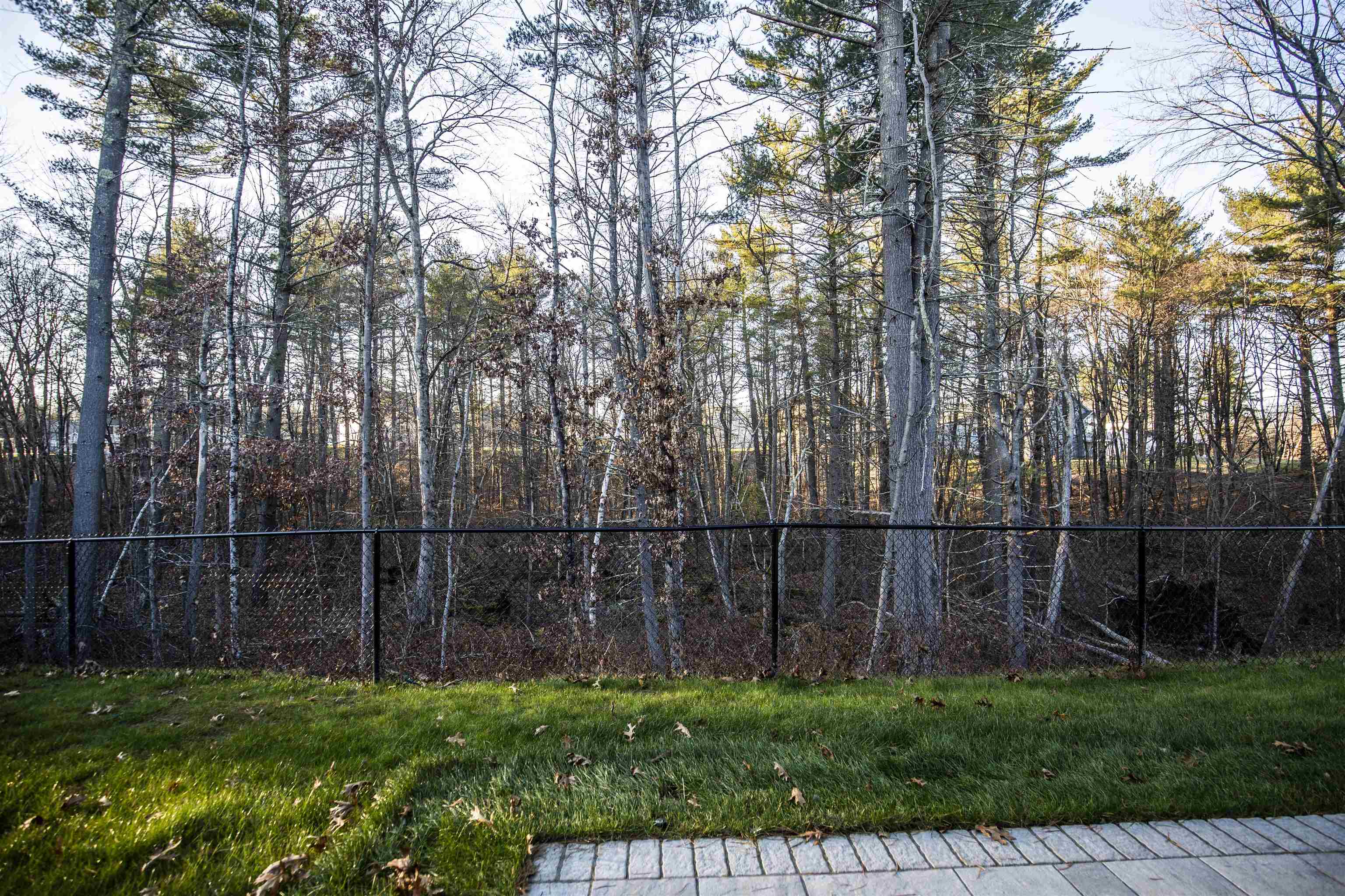 31 Harvest Moon Road Londonderry, NH 03053 - Photo 33 of 34