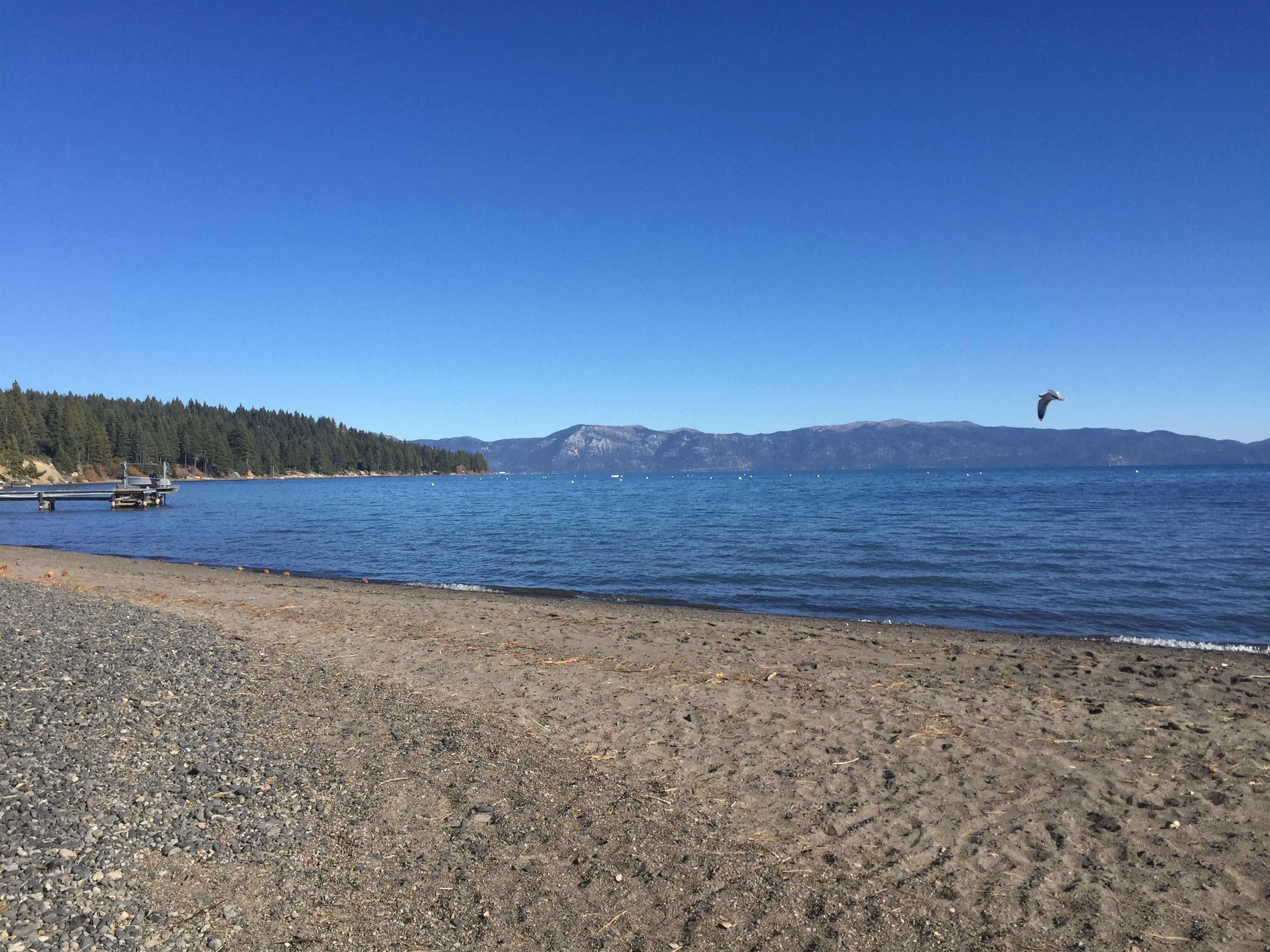 790 Sugar Pine Road Homewood, CA 96141 - Photo 2 of 21 a view of a field with an ocean