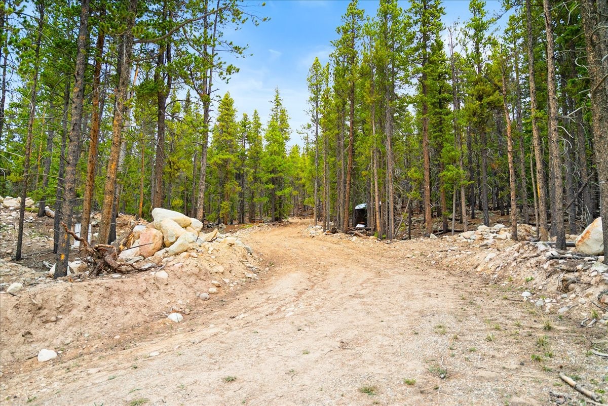 3259 Nugget Road Fairplay, CO 80440 - Photo 6 of 13