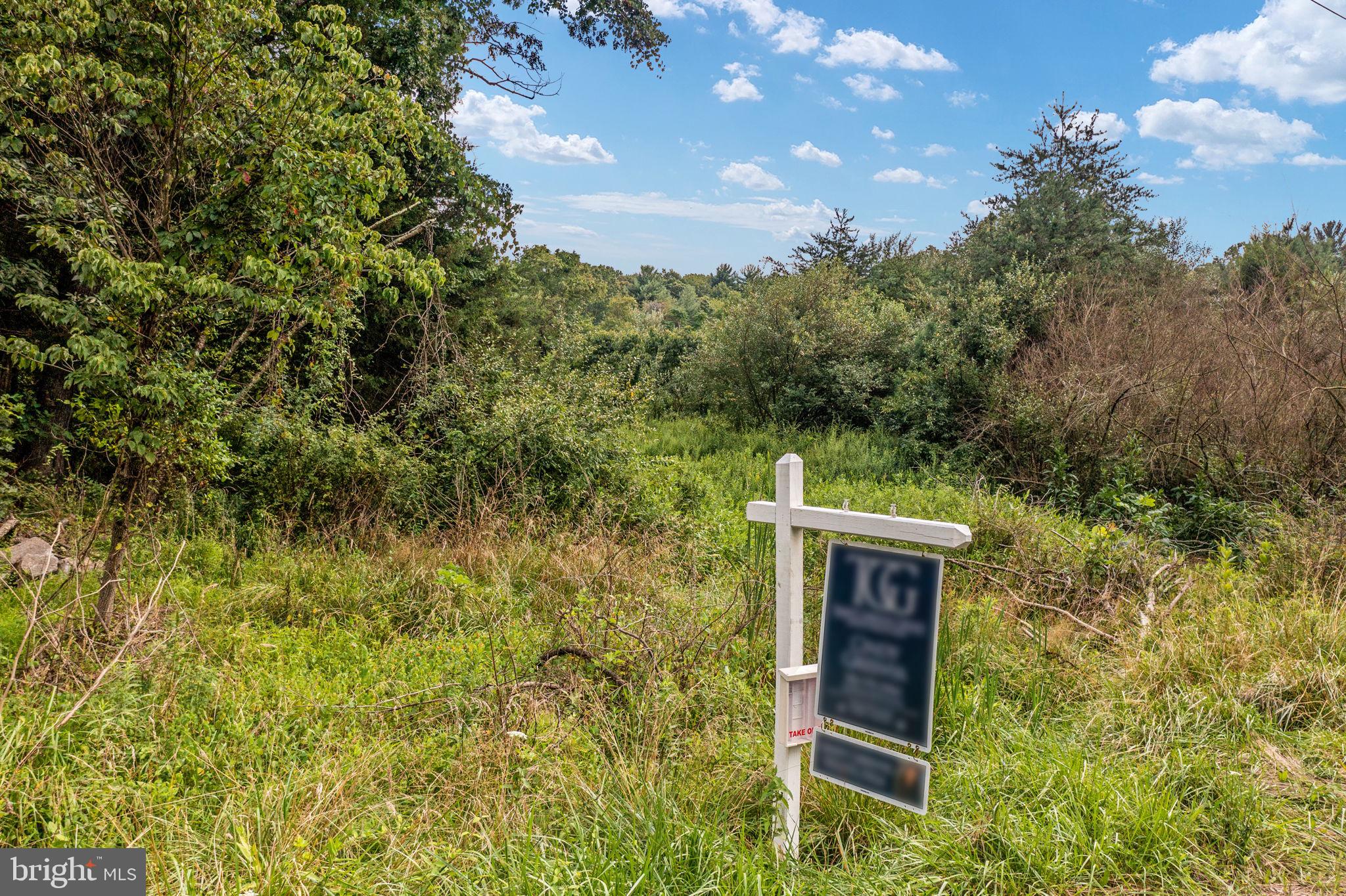 Pinetop Road Gore, VA 22637 - Photo 1 of 38