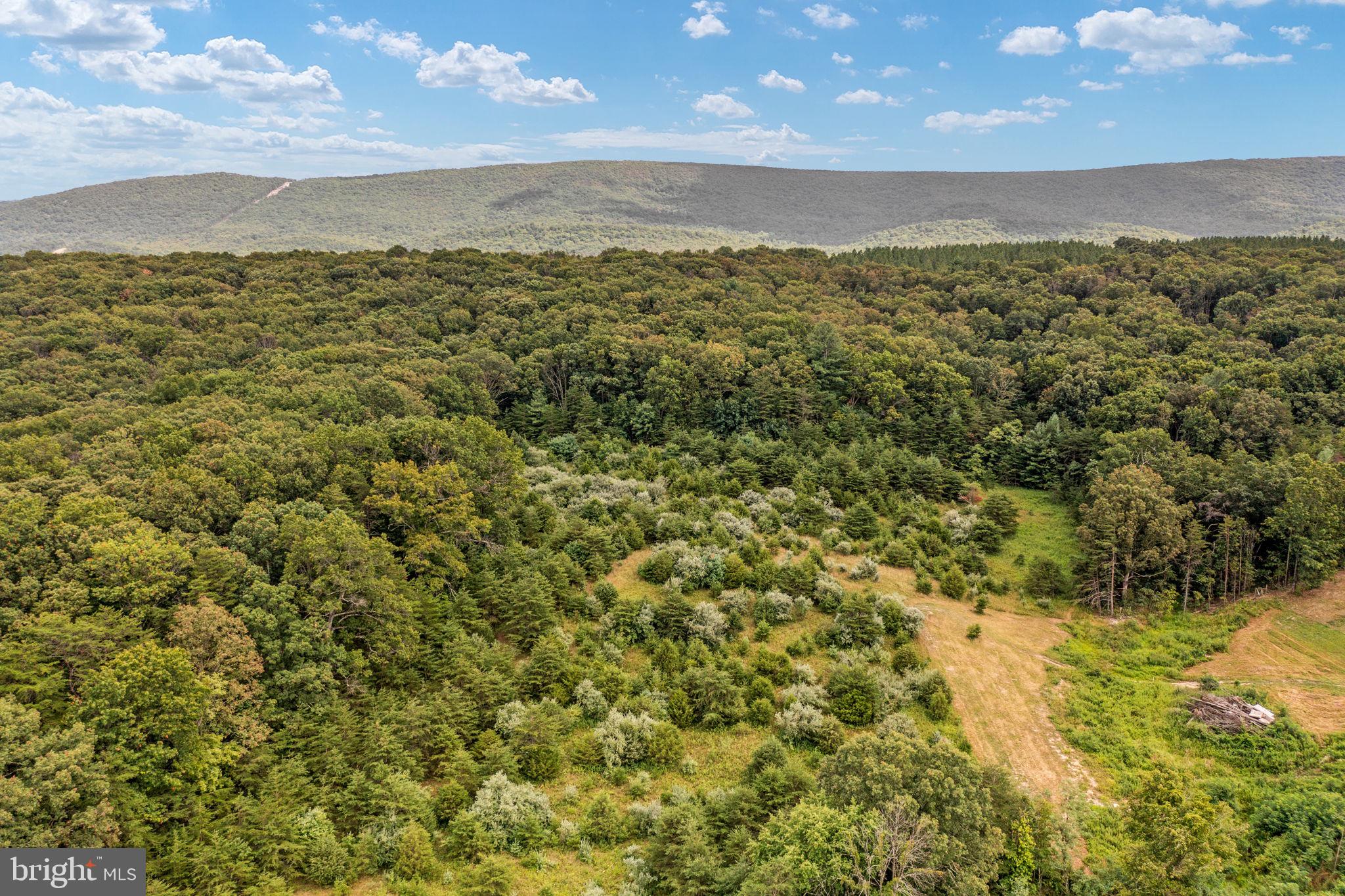 Pinetop Road Gore, VA 22637 - Photo 11 of 38
