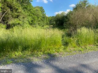 Pinetop Road Gore, VA 22637 - Photo 13 of 38