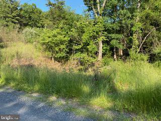 Pinetop Road Gore, VA 22637 - Photo 14 of 38