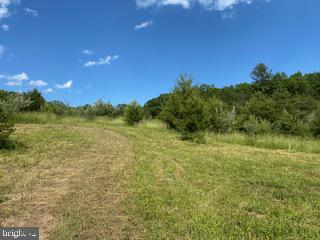 Pinetop Road Gore, VA 22637 - Photo 15 of 38