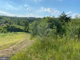 Pinetop Road Gore, VA 22637 - Photo 16 of 38