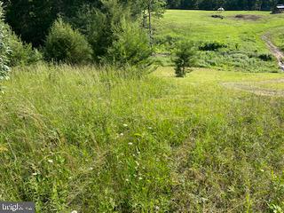 Pinetop Road Gore, VA 22637 - Photo 18 of 38