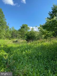 Pinetop Road Gore, VA 22637 - Photo 20 of 38