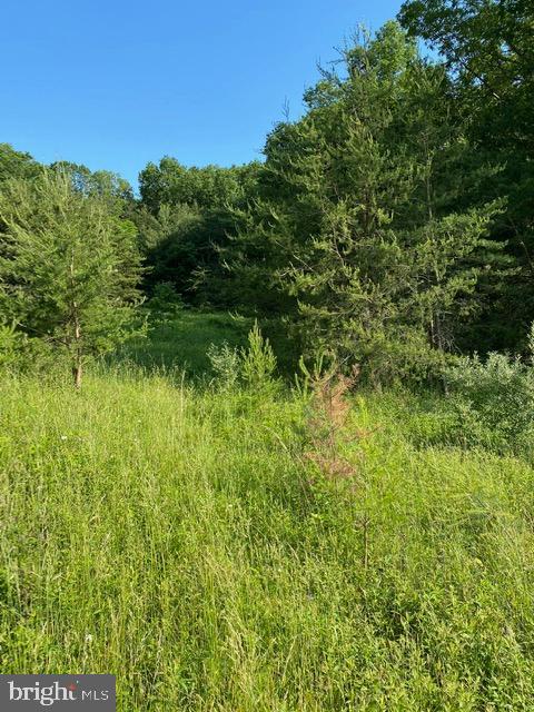 Pinetop Road Gore, VA 22637 - Photo 23 of 38