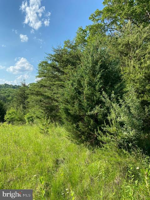 Pinetop Road Gore, VA 22637 - Photo 25 of 38