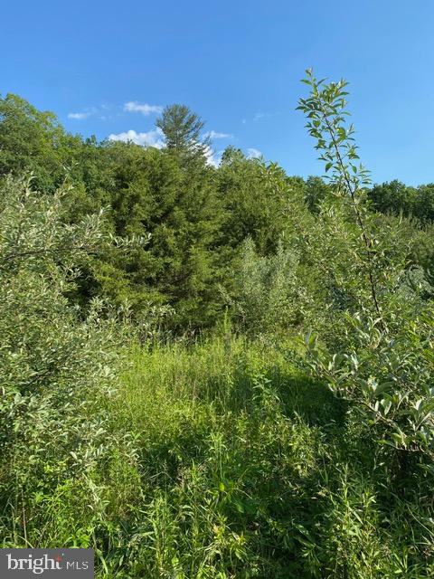 Pinetop Road Gore, VA 22637 - Photo 29 of 38