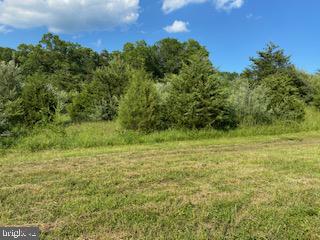 Pinetop Road Gore, VA 22637 - Photo 31 of 38