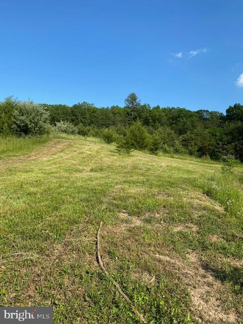 Pinetop Road Gore, VA 22637 - Photo 32 of 38