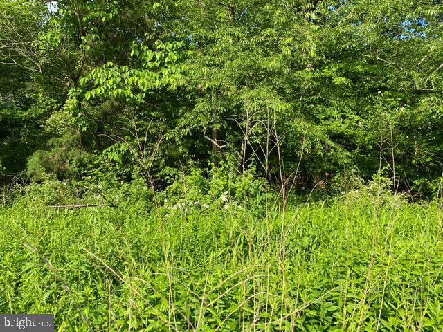 Pinetop Road Gore, VA 22637 - Photo 33 of 38