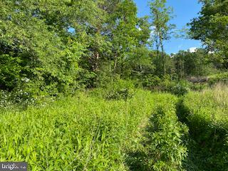 Pinetop Road Gore, VA 22637 - Photo 34 of 38