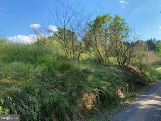 Pinetop Road Gore, VA 22637 - Photo 36 of 38