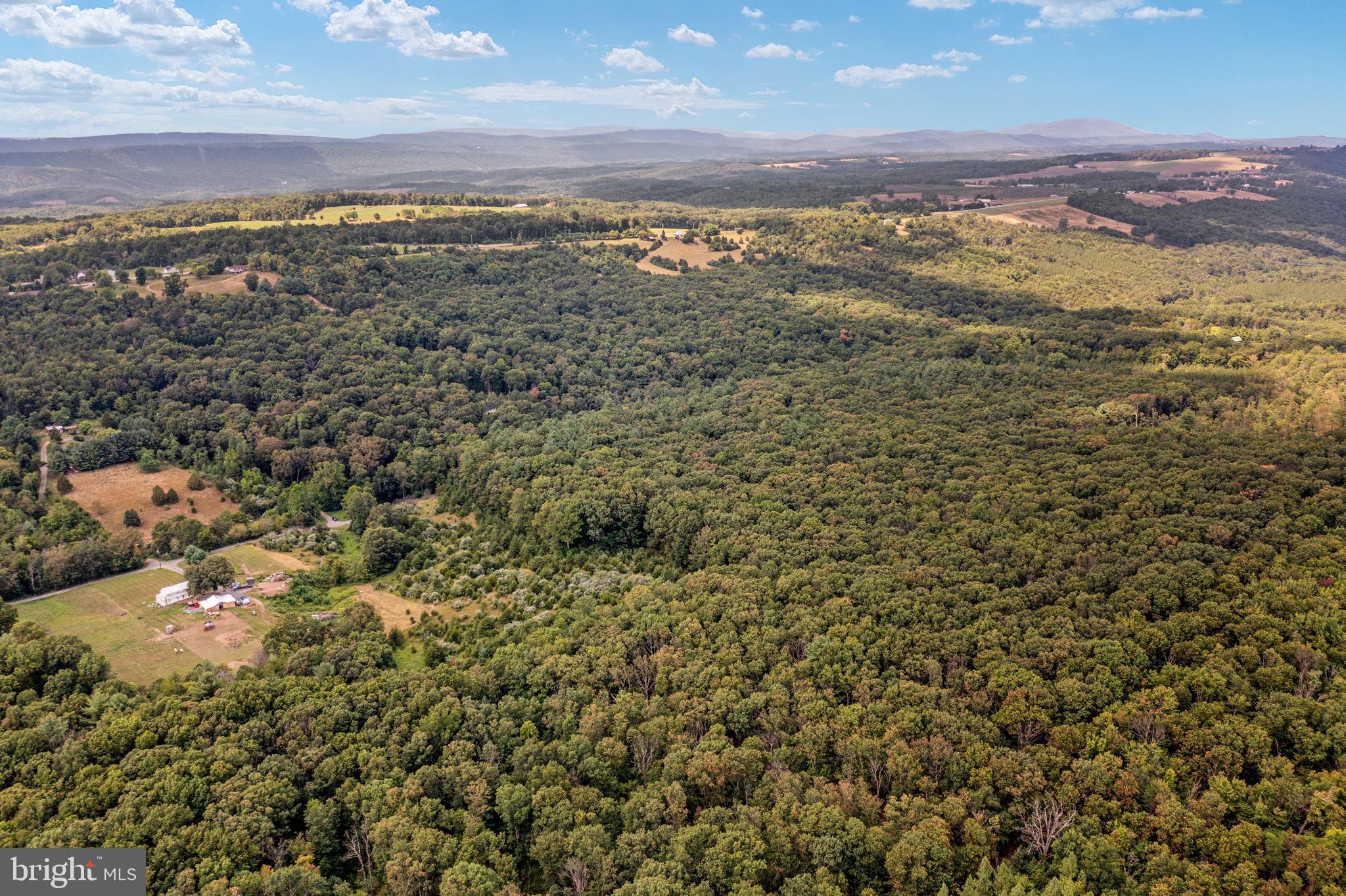 Pinetop Road Gore, VA 22637 - Photo 4 of 38