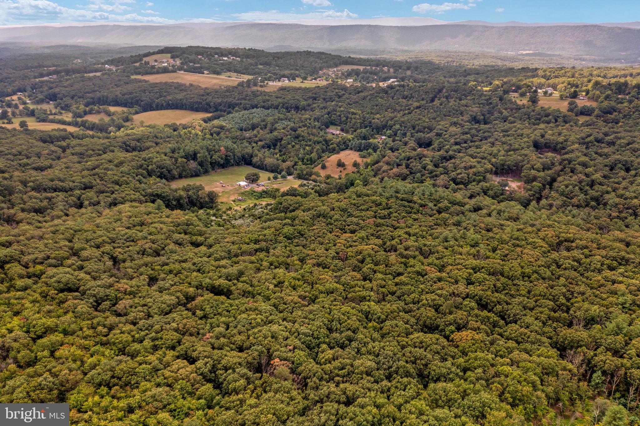 Pinetop Road Gore, VA 22637 - Photo 6 of 38