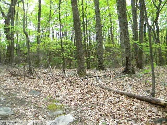 0 Covington Road King, NC 27021 - Photo 3 of 10