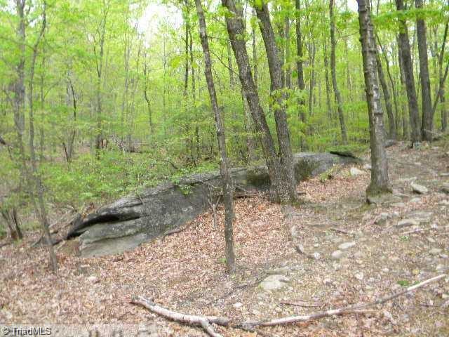 0 Covington Road King, NC 27021 - Photo 4 of 10