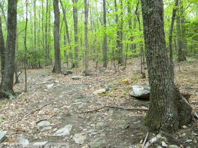0 Covington Road King, NC 27021 - Photo 5 of 10