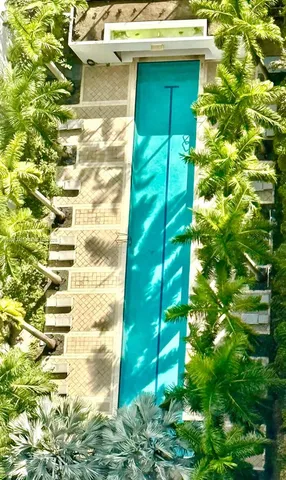 a close up of a tree