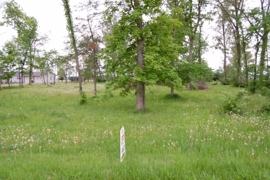 0 Bean Road Mechanicsburg, OH 43044 - Photo 3 of 5