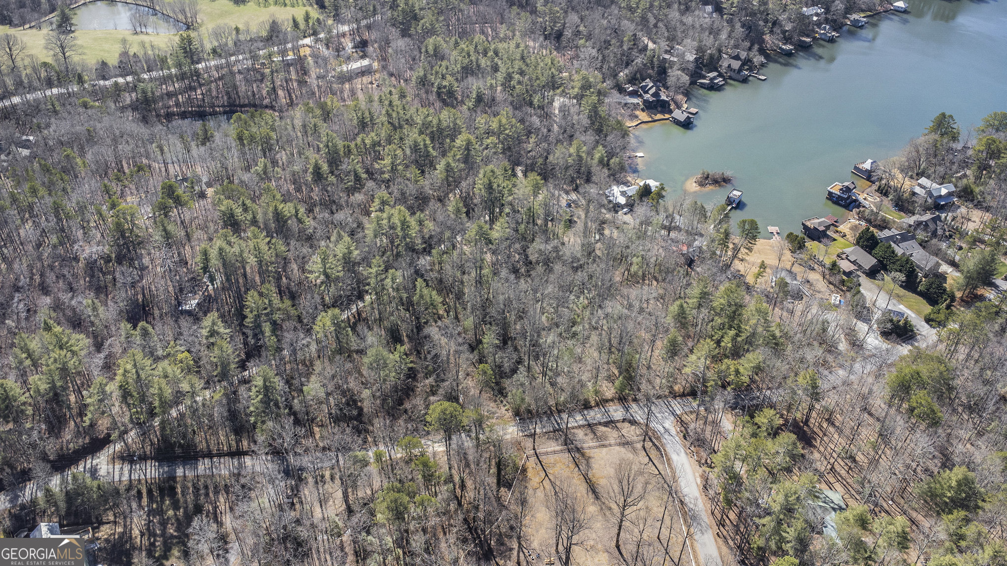 5622 Murray Cove Road Tiger, GA 30576 - Photo 36 of 39 a view of a lake with a forest