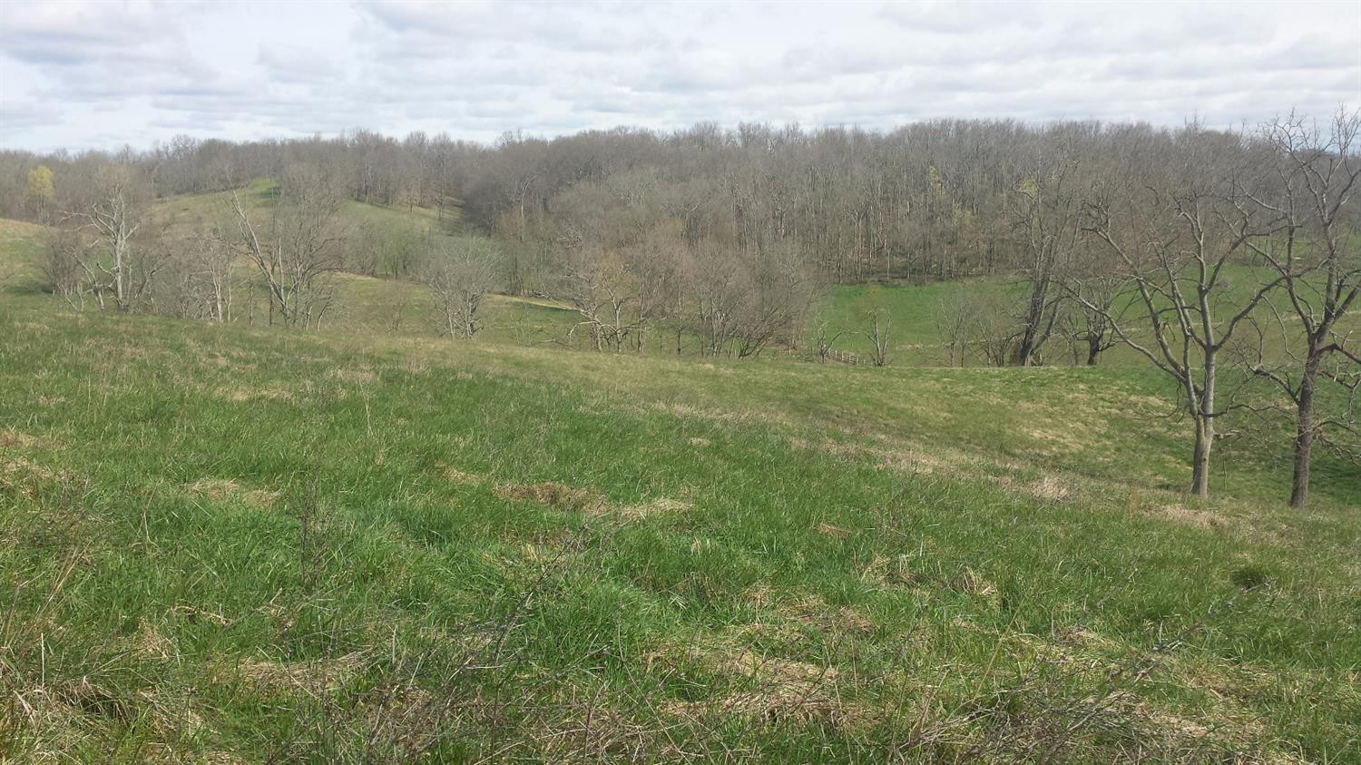 826 Anderson Road Georgetown, KY 40324 - Photo 11 of 18 Photo 11