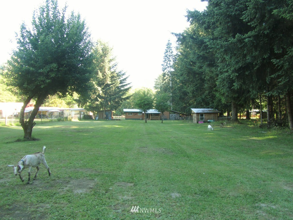 128 Blakely Road Randle, WA 98377 - Photo 21 of 24 Gallery Image 21