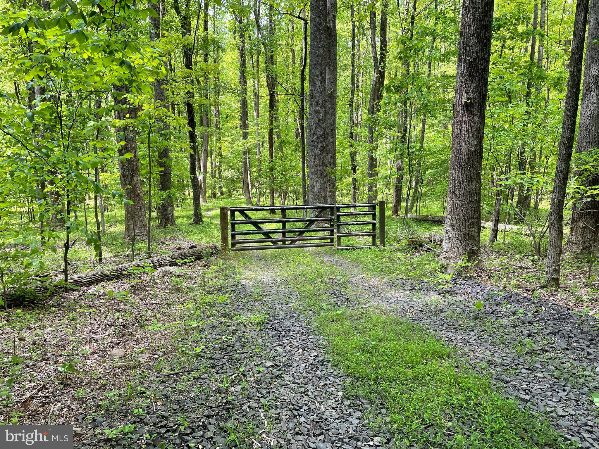3440 Bull Run Mountain Road The Plains, VA 20198 - Photo 2 of 31 Gorgeous 20 acre wooded parcel not far from town