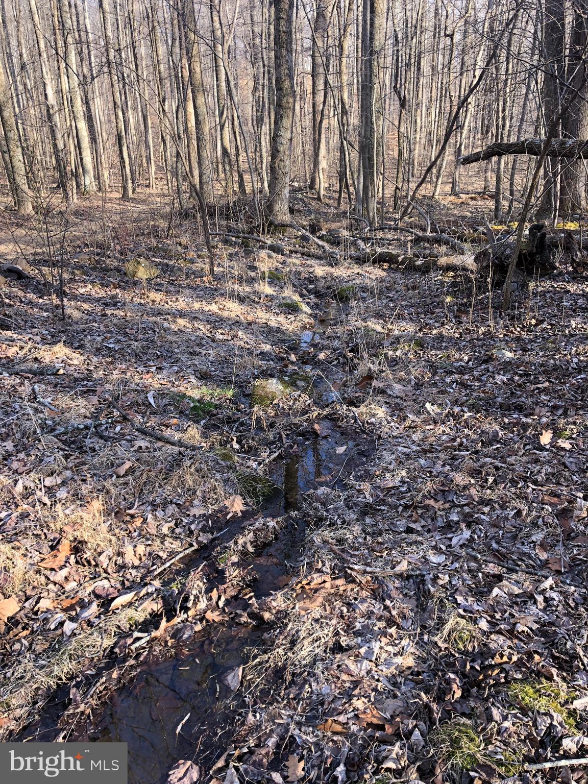 3440 Bull Run Mountain Road The Plains, VA 20198 - Photo 11 of 31 Small springs on the property