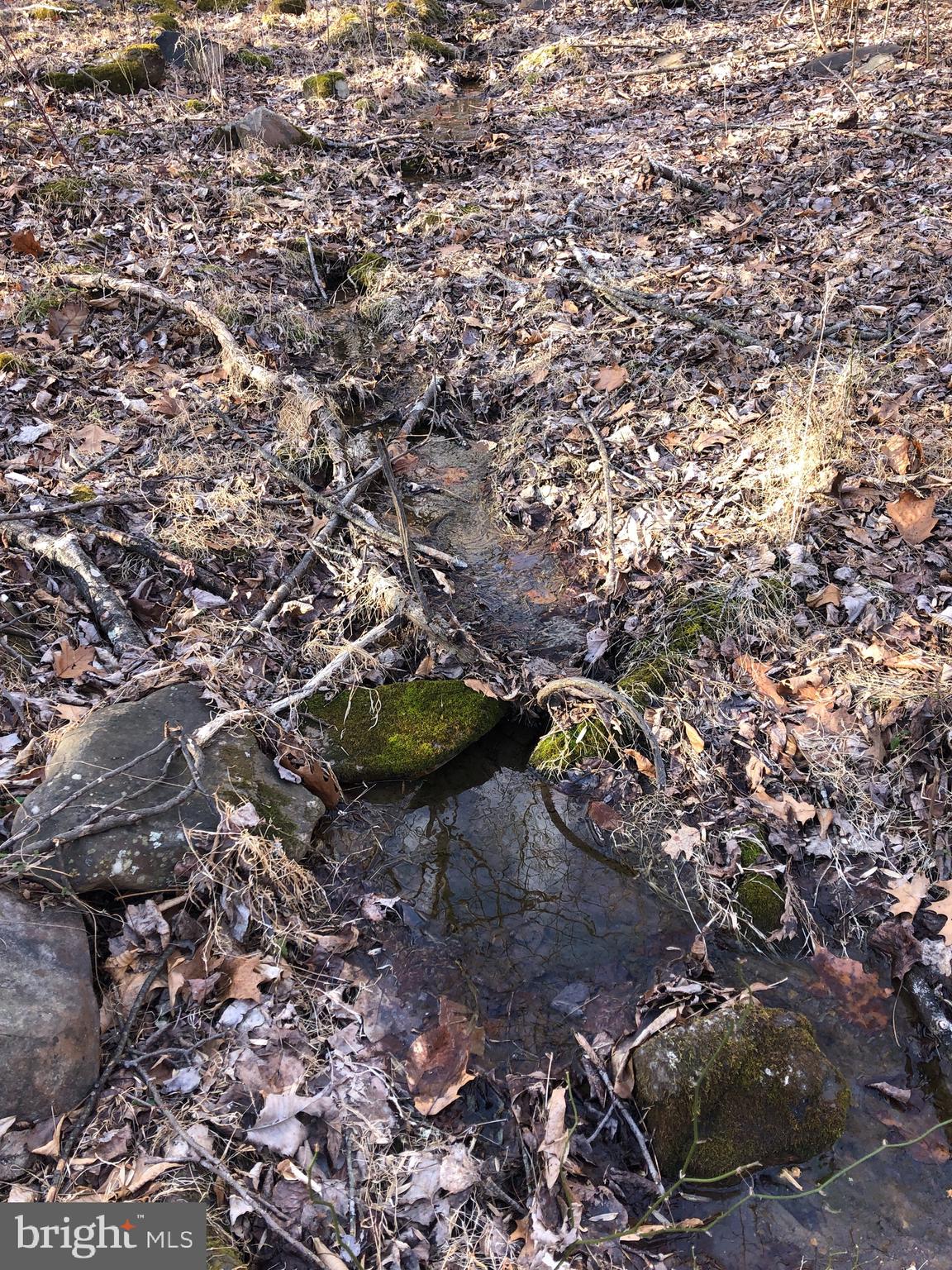 3440 Bull Run Mountain Road The Plains, VA 20198 - Photo 13 of 31 Small springs on the property