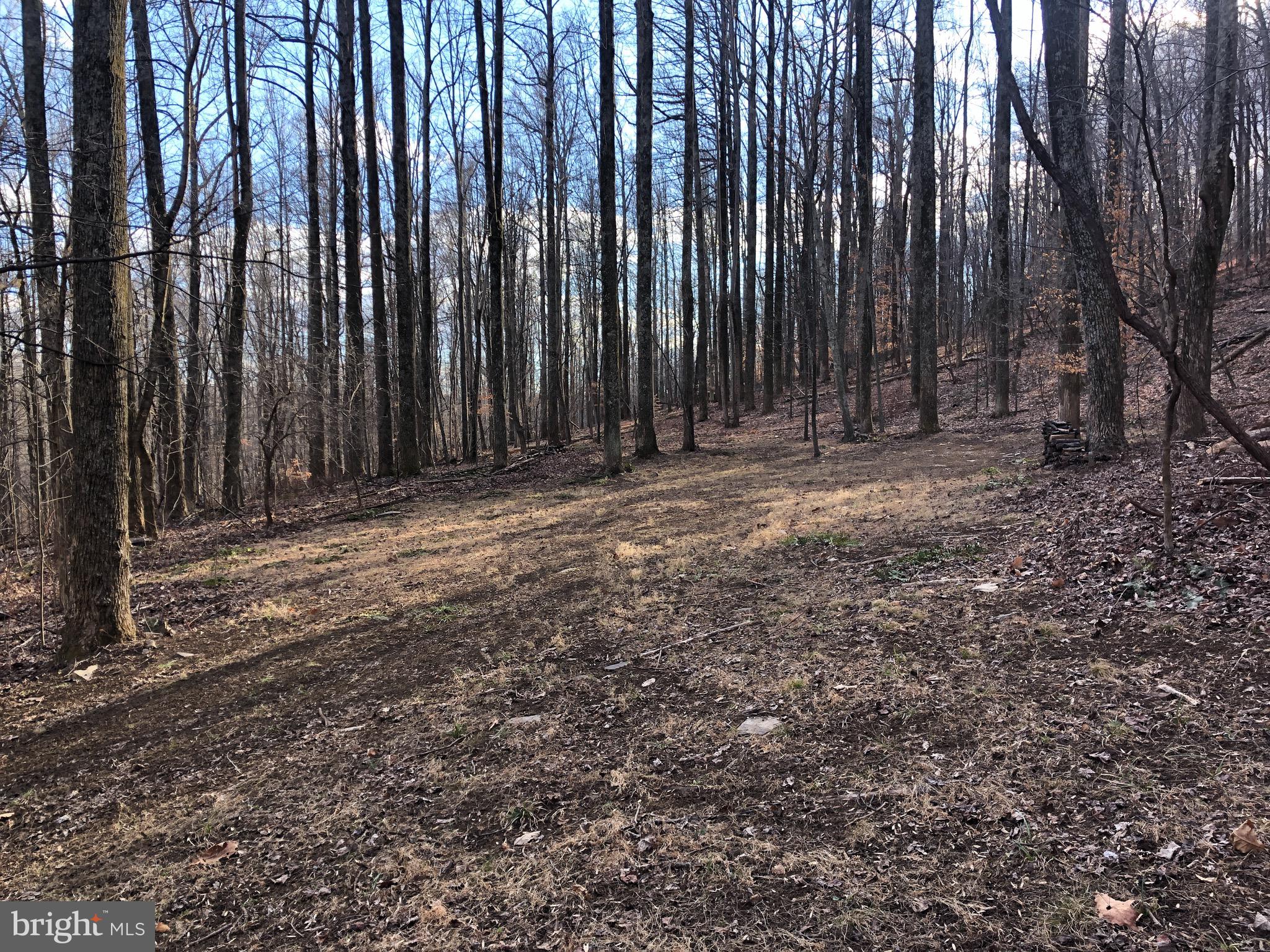 3440 Bull Run Mountain Road The Plains, VA 20198 - Photo 15 of 31 View of the cleared area at the top