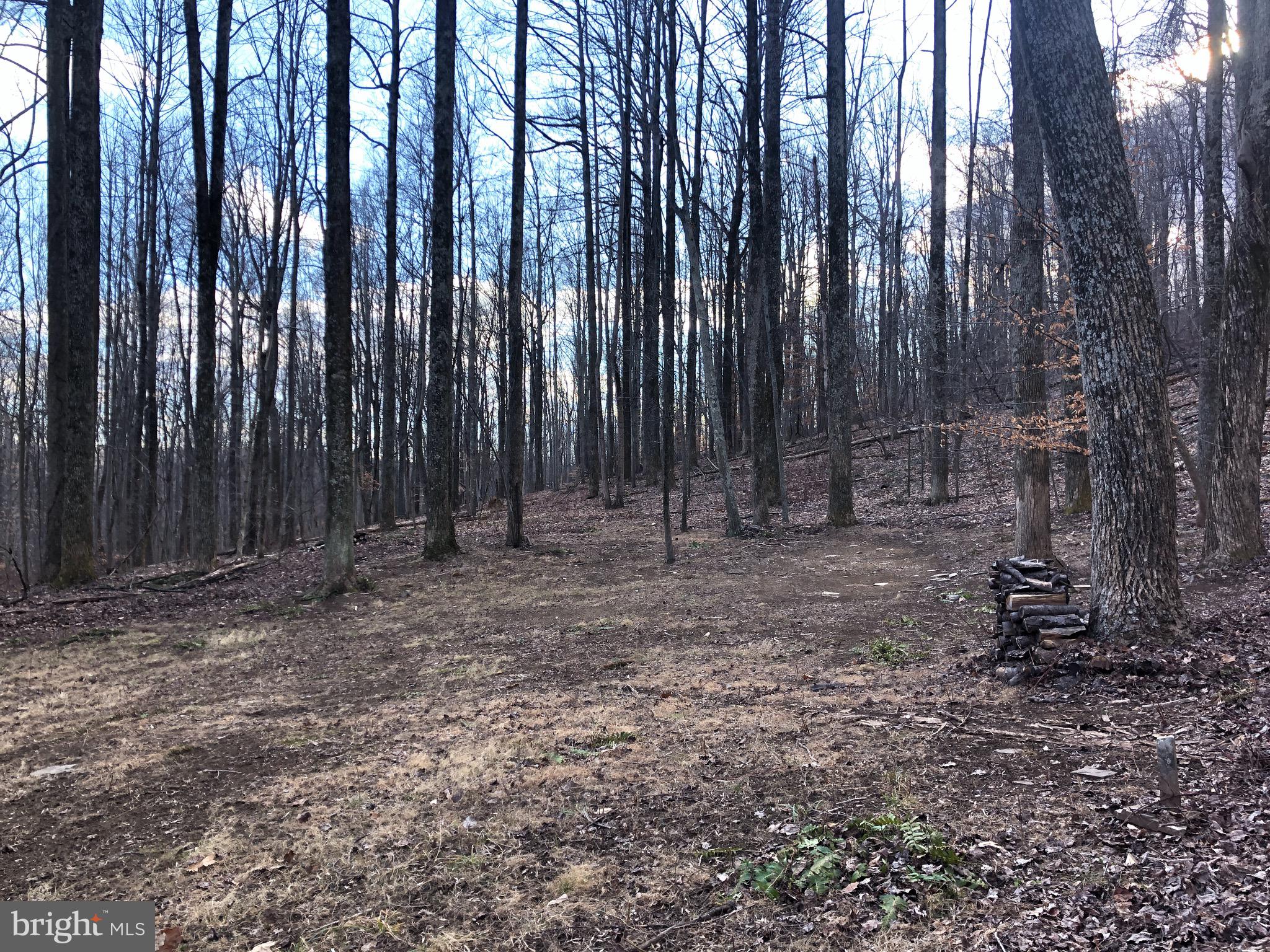3440 Bull Run Mountain Road The Plains, VA 20198 - Photo 16 of 31 View of the cleared area at the top