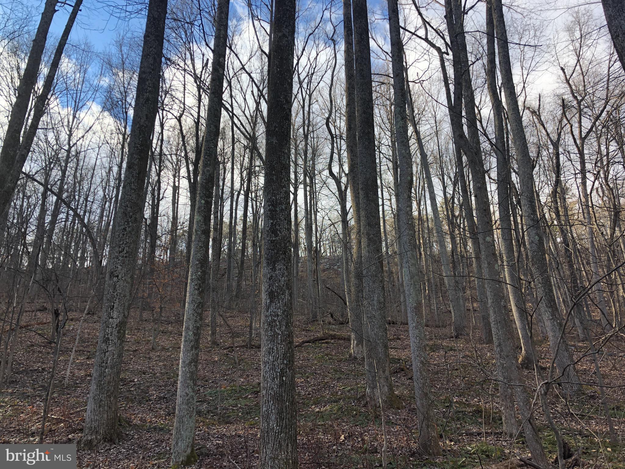 3440 Bull Run Mountain Road The Plains, VA 20198 - Photo 18 of 31 View of the upper rock ledges